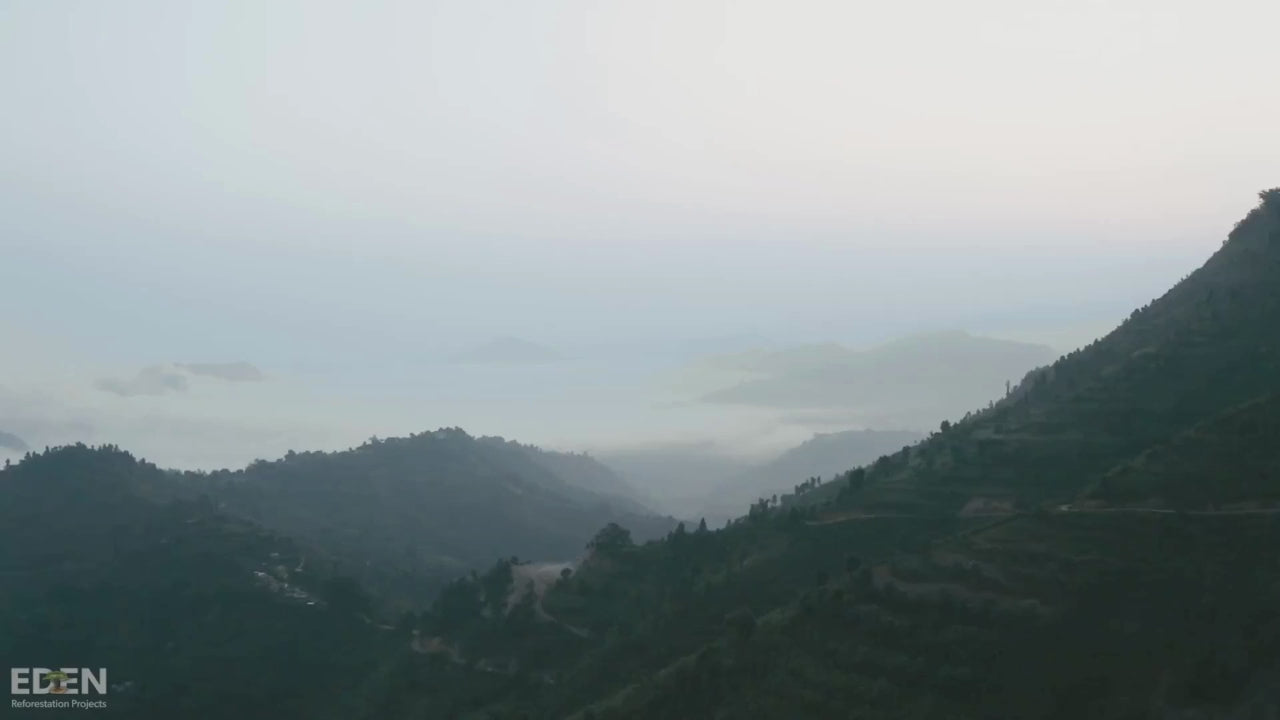 Cargar video: Alianza con Eden Reforestation Projects